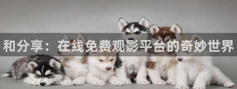 伦理影院免费观看电影大全：和分享：在线免费观影平台的奇妙世界