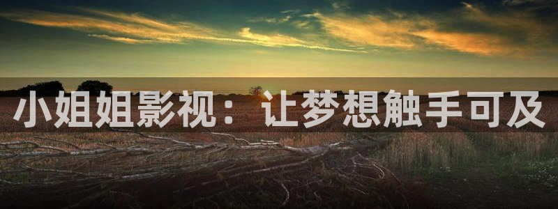 大香蕉伦理影院：小姐姐影视：让梦想触手可及