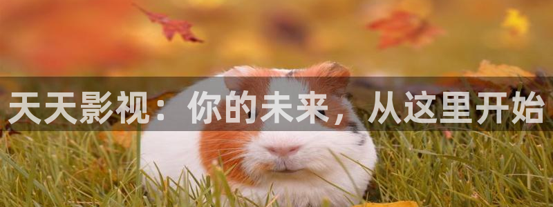 福利伦理影视