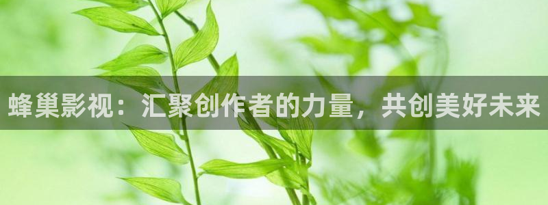 淇淇伦理影院：蜂巢影视：汇聚创作者的力量，共创美好未来