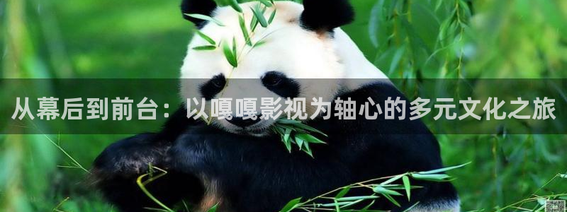 伦理视频免费网站：从幕后到前台：以嘎嘎影视为轴心的多元文化之旅