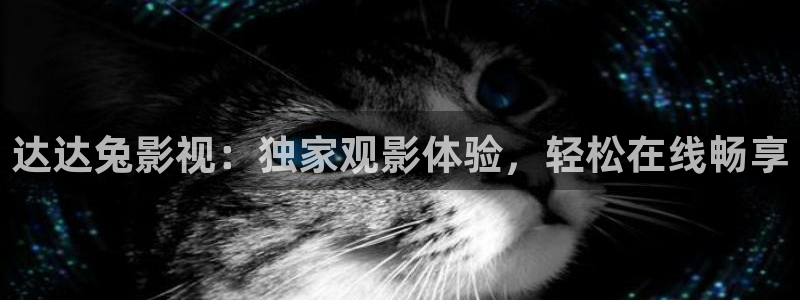 飘雪伦理影院：达达兔影视：独家观影体验，轻松在线畅享