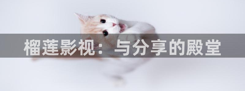 日本成人伦理影院：榴莲影视：与分享的殿堂