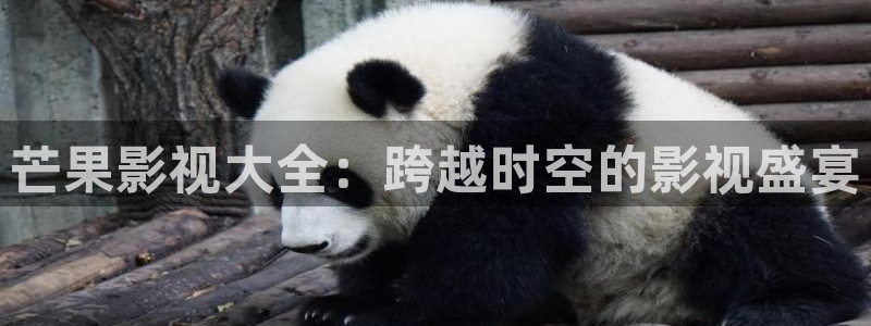 奇优伦理影院：芒果影视大全：跨越时空的影视盛宴