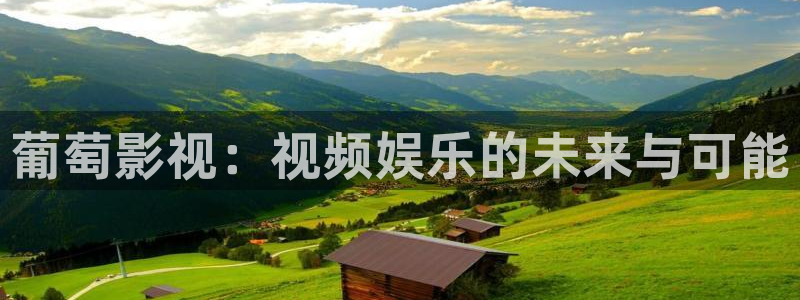单县伦理影院：葡萄影视：视频娱乐的未来与可能