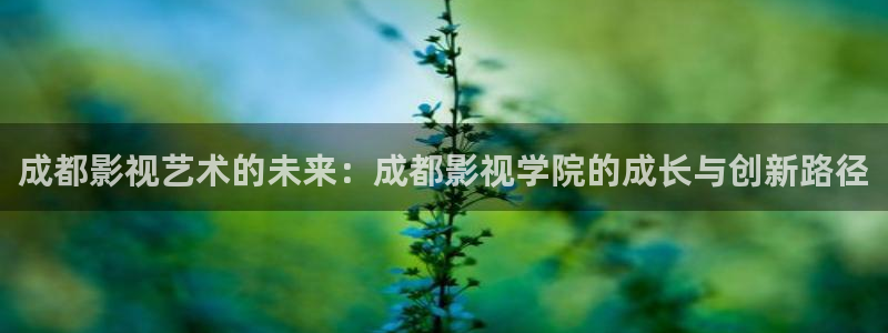 色播伦理影院：成都影视艺术的未来：成都影视学院的成长与创新路径