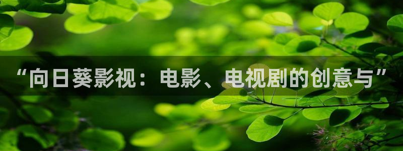 秋霞午夜伦理影视：“向日葵影视：电影、电视剧的创意与”