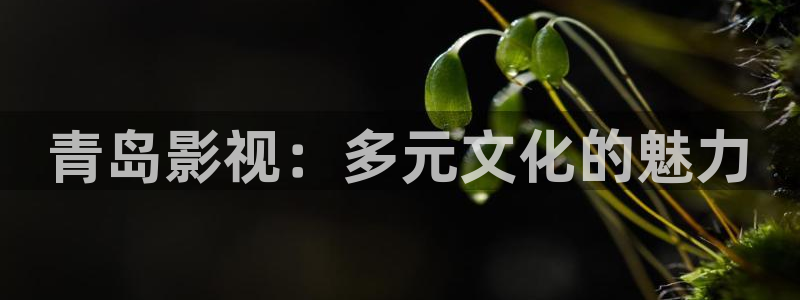 ppypp伦理影院：青岛影视：多元文化的魅力
